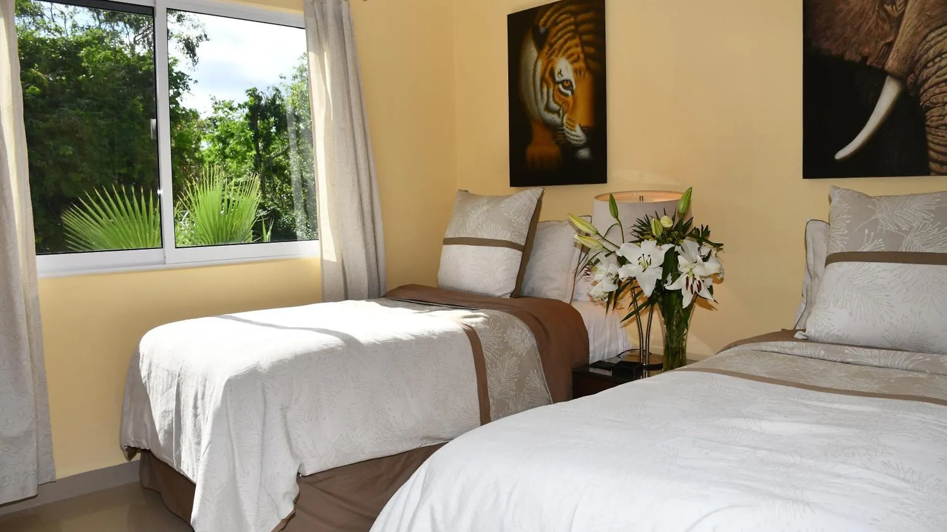 Casa Sol 3 & 4 Bedroom Villa With Swimming Pool Close To The Beach 普拉亚卡门 0*,